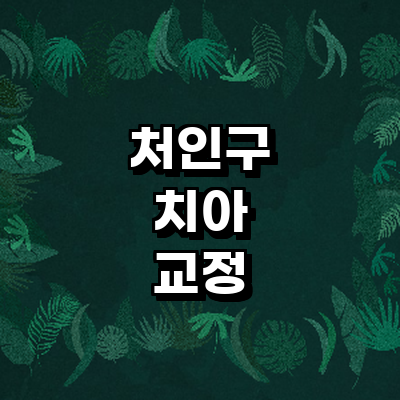 용인 처인구 교정 치과