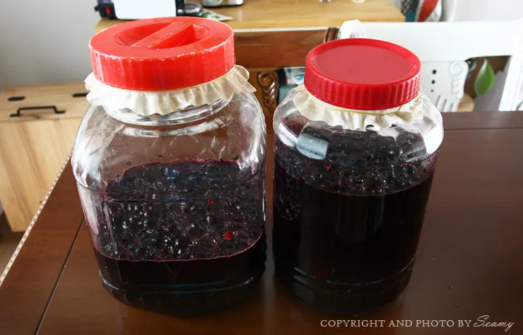 아로니아 효소만드는법과 효능효과 부작용 꽃 엑기스 활용법_4