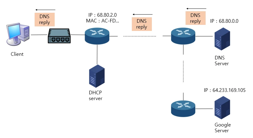 DNS reply