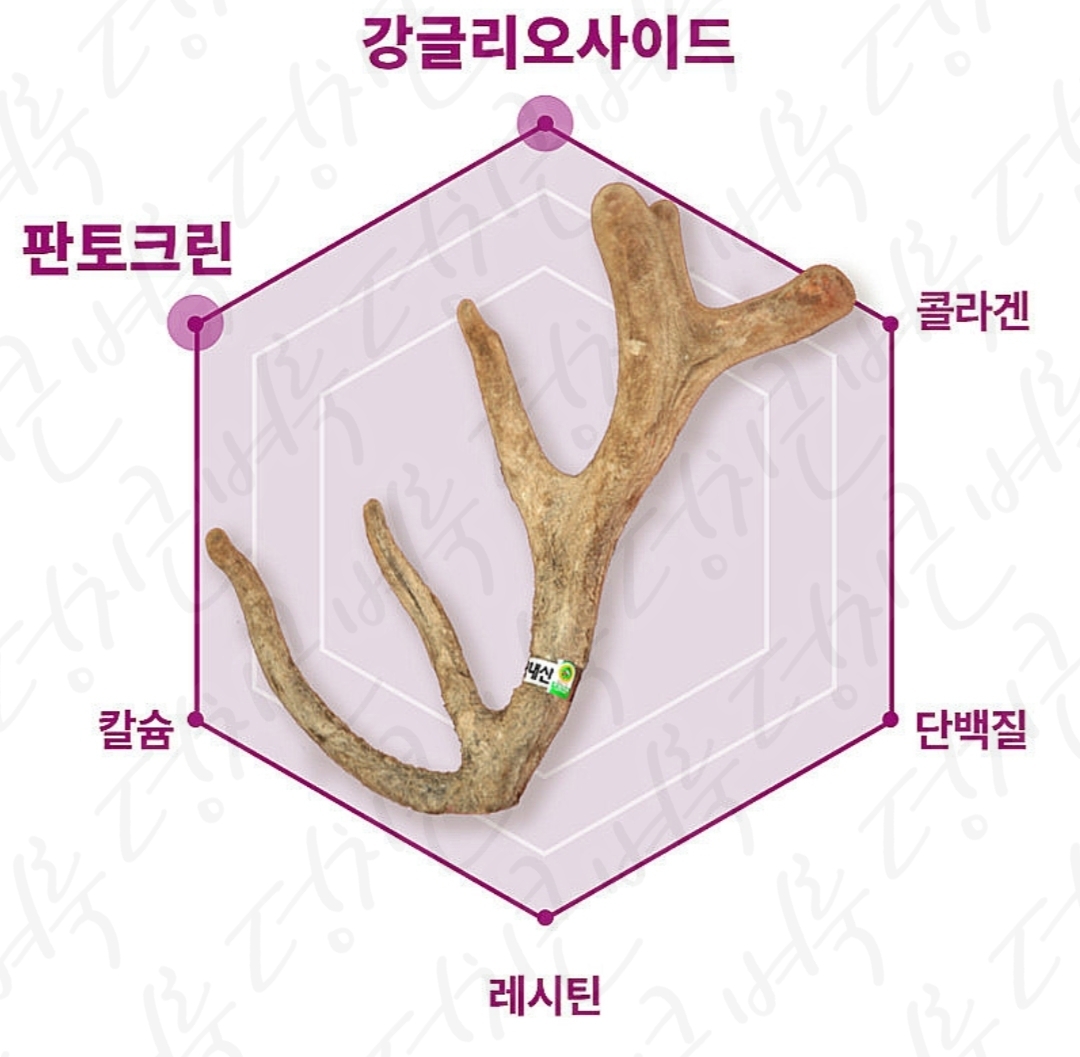 이경제 더힘찬녹용 효능 부작용