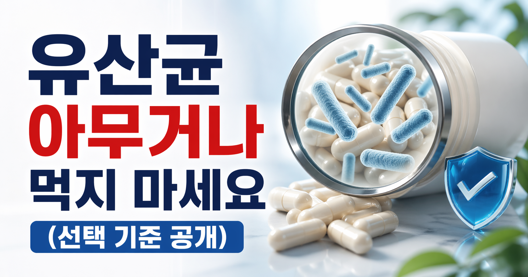 유산균 추천