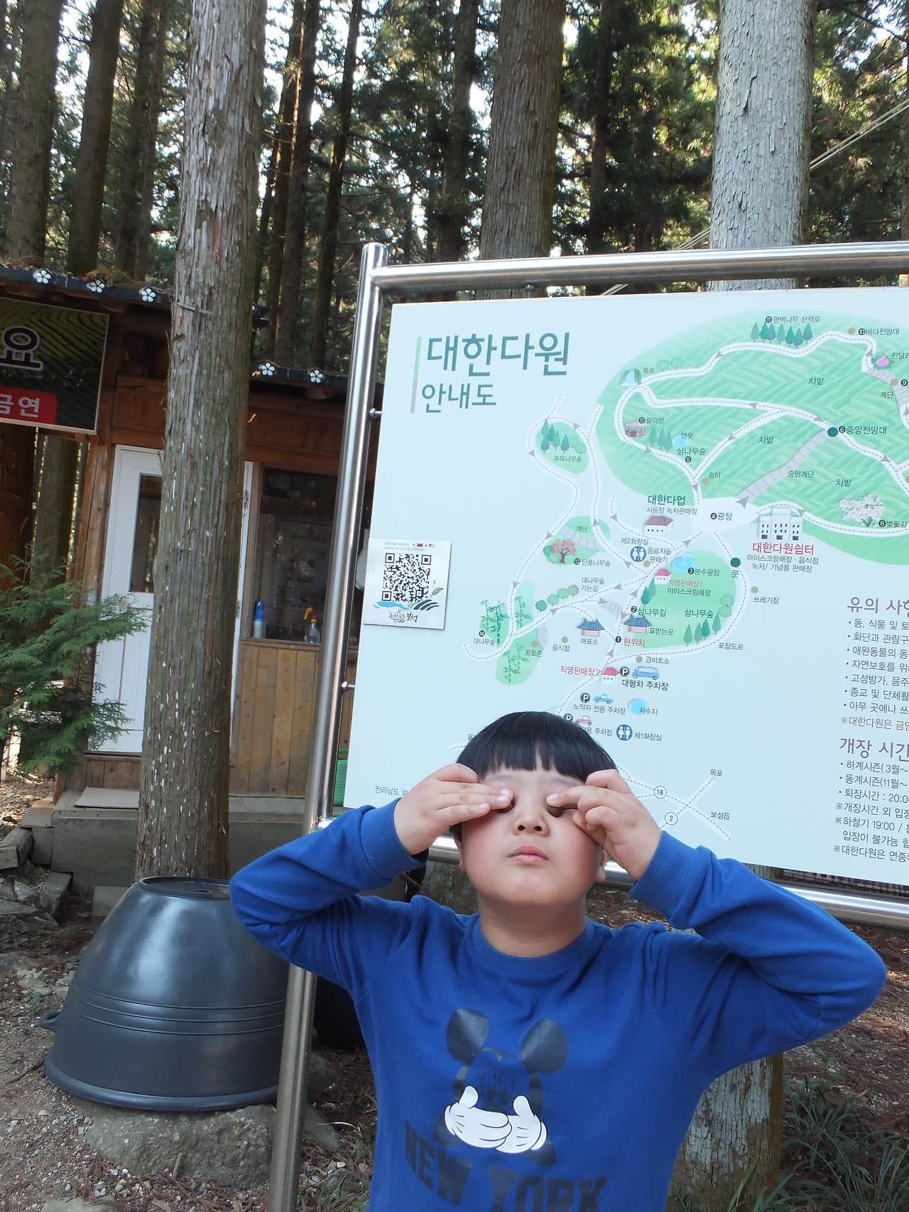 대한다원 안내도 앞에서 차씨앗으로 장난을 치는 똘망이