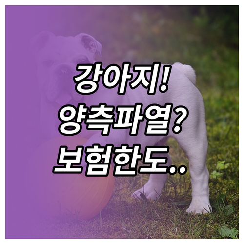 강아지 십자인대 양측성 파열 보험 적..