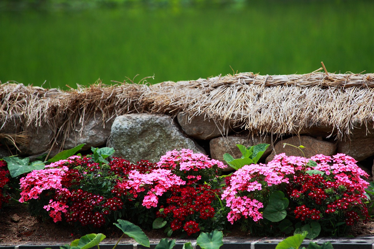 한국영화 관련이미지
