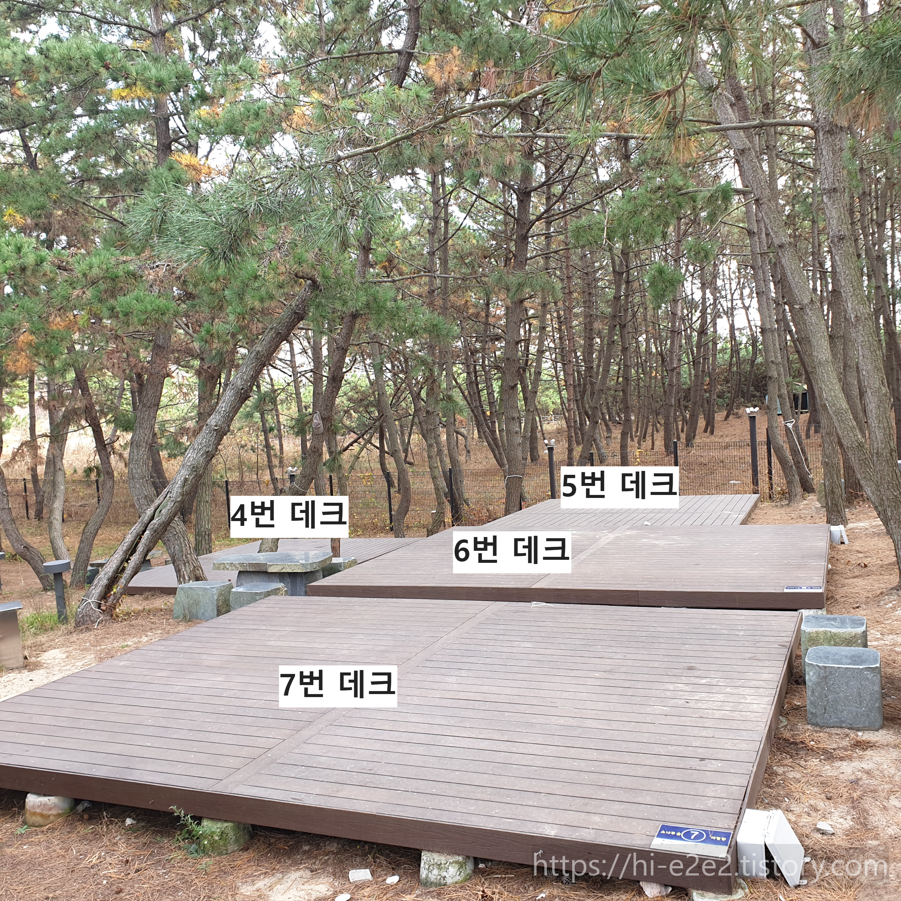 원산도해수욕장 소나무숲 캠핑장 데크 정보