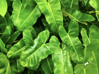 저공해차 스티커 발급