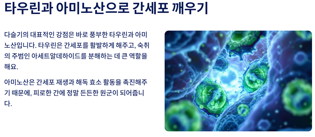 타우린과 아미노산으로 간세포 깨우기