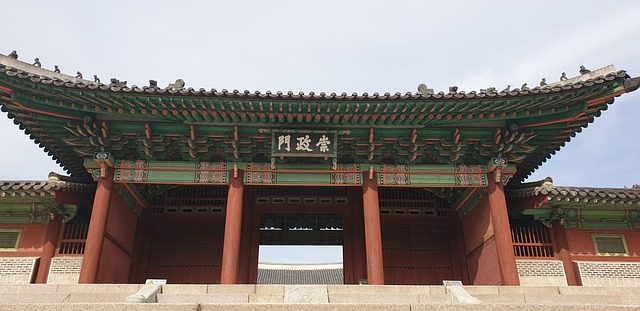 보령 월디페 티켓