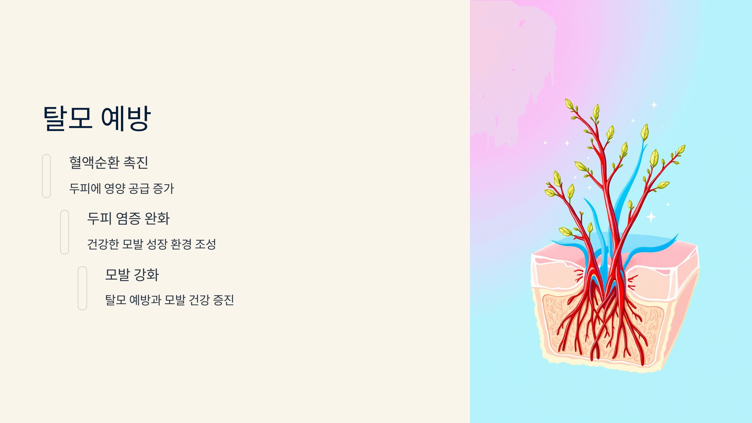 루이보스차 사진입니다.