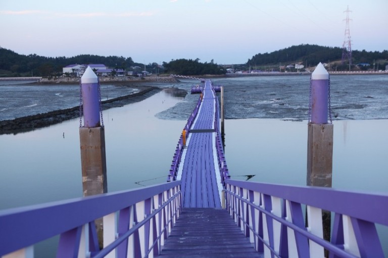 신안 퍼플섬 다리 사진