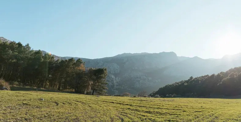 임업직불금 신청