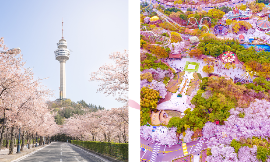 이월드 블라썸 피크닉 벚꽃로드