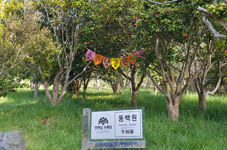 태안 안면도 수목원