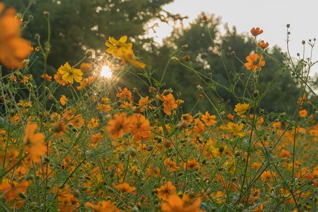 제주도 가볼만한곳