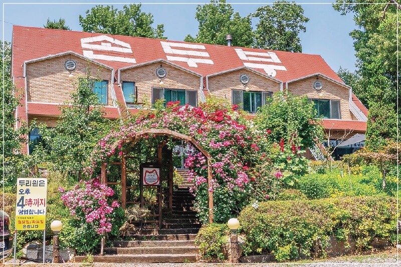 콩국수 짬뽕 냉면 순댓국 일산 대표 메뉴 이미지