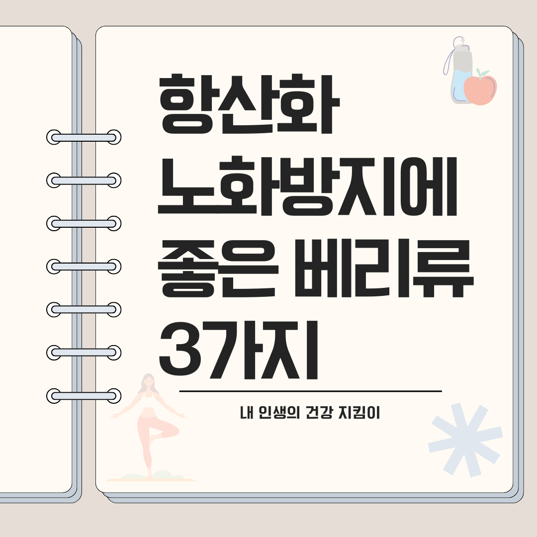 항산화·노화방지에 좋은 베리류 3가지