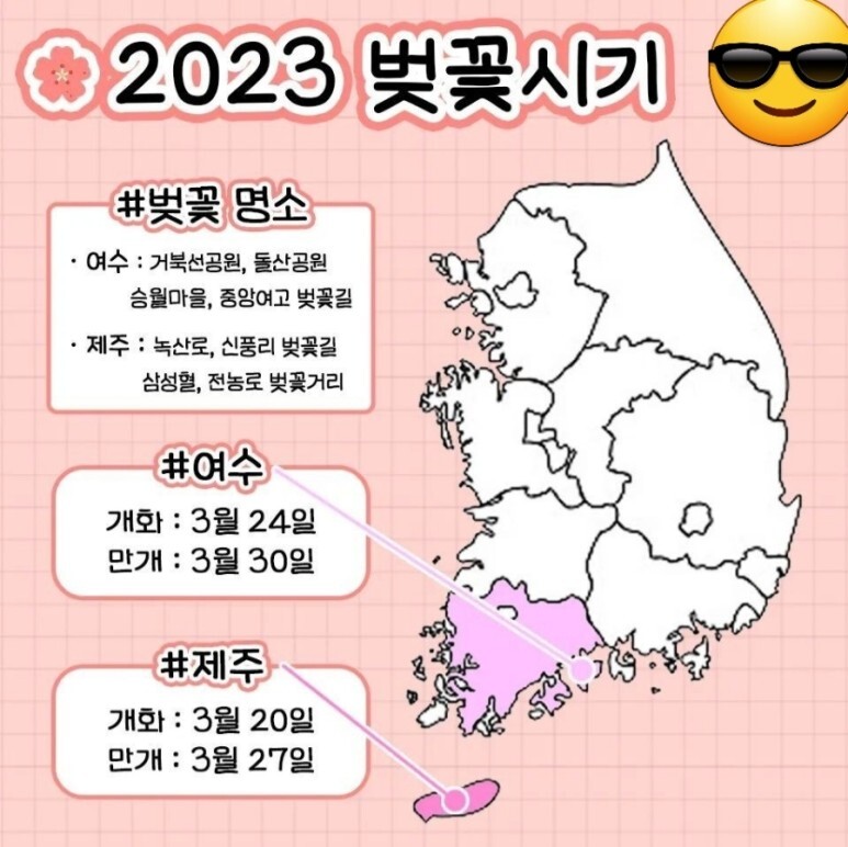 2023년 벚꽃 개화시기