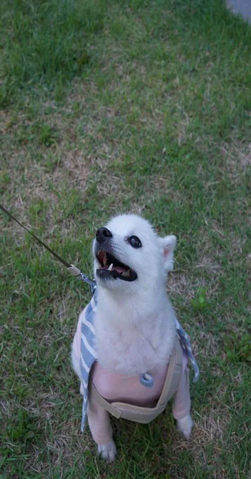 롯데프리미엄아울렛 파주점