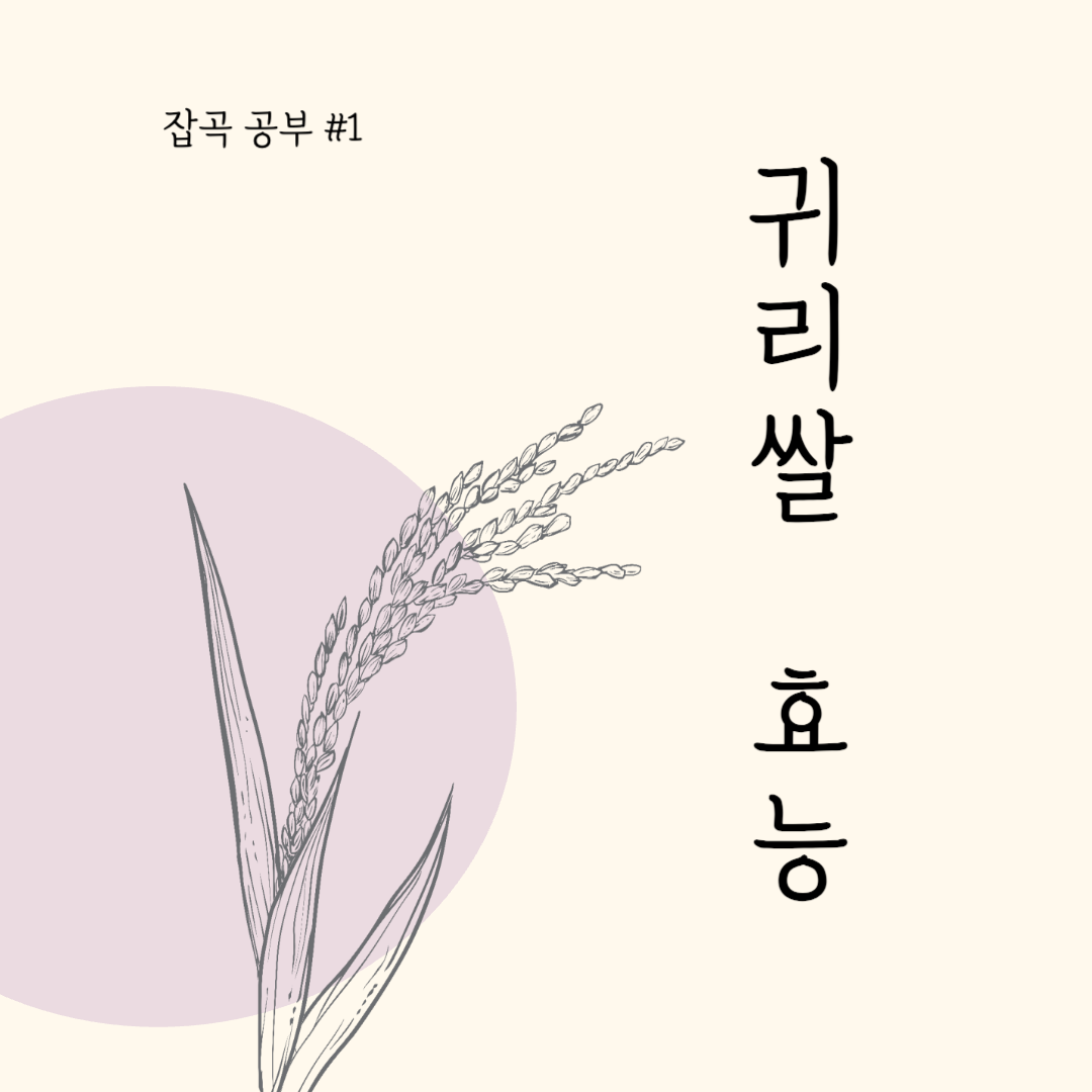 귀리쌀 효능