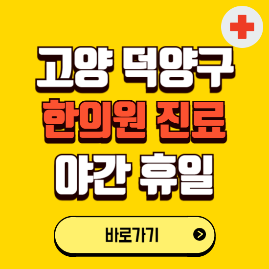 고양시 덕양구 야간 휴일 한의원 한방병원 찾기 ❘ 24시 일요일 주말 연휴 응급진료 추천 잘하는 곳