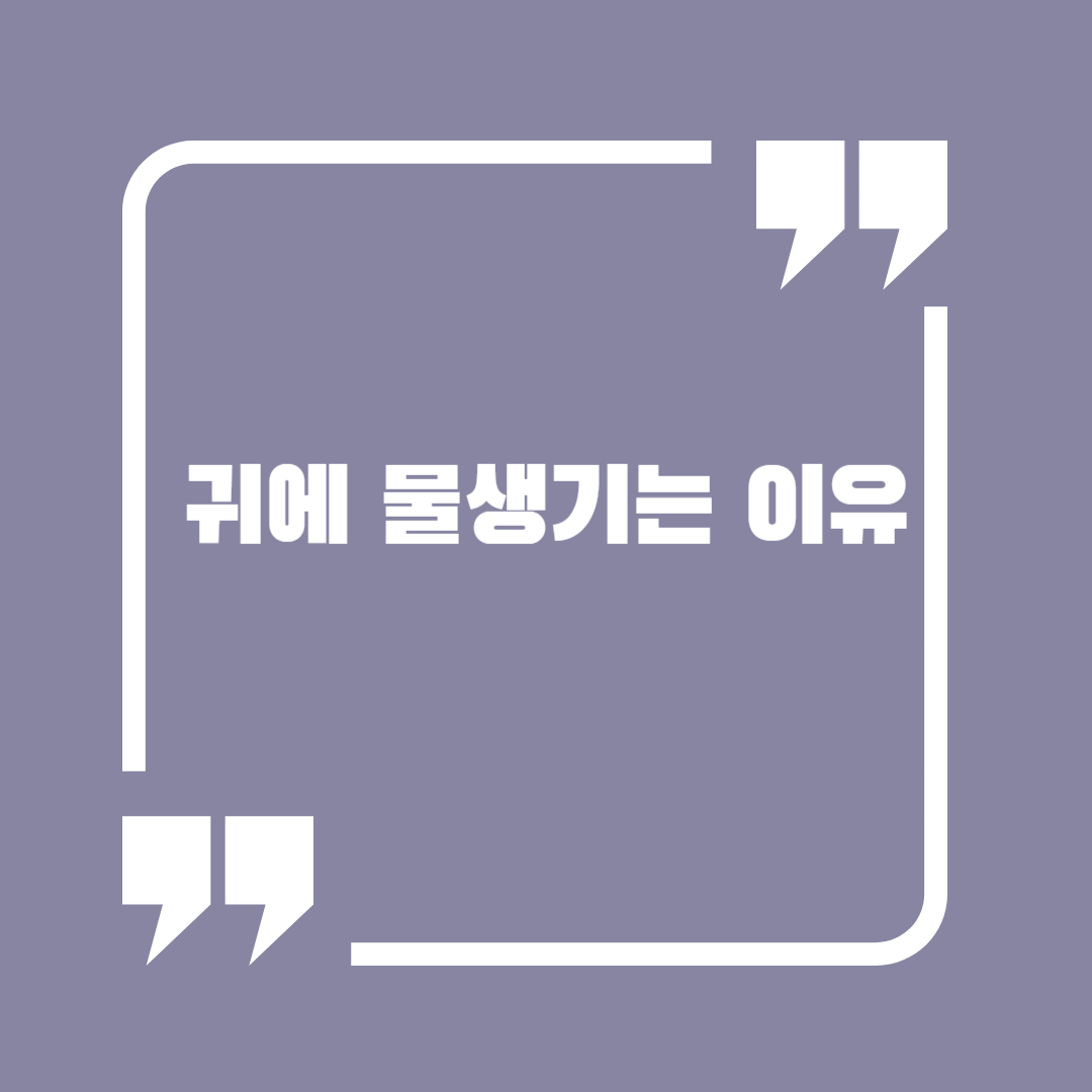 귀에 물생기는 이유