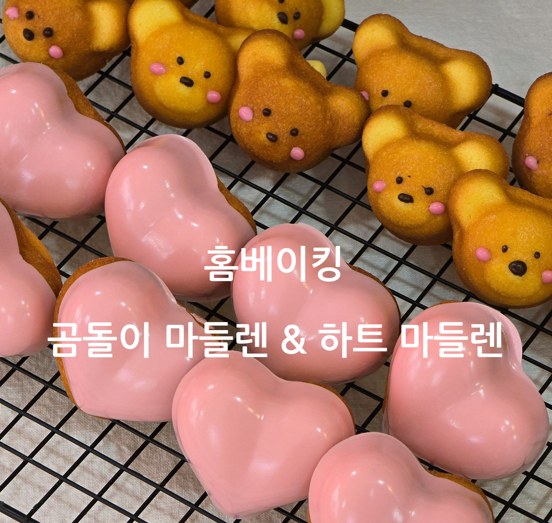 곰들렌 만들기