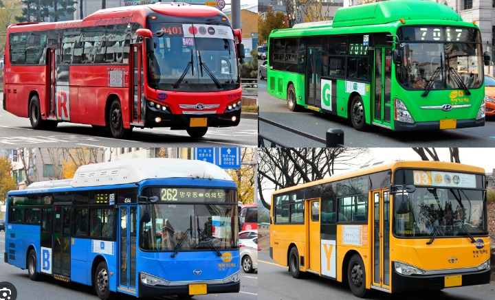 다양한 색의 서울 버스