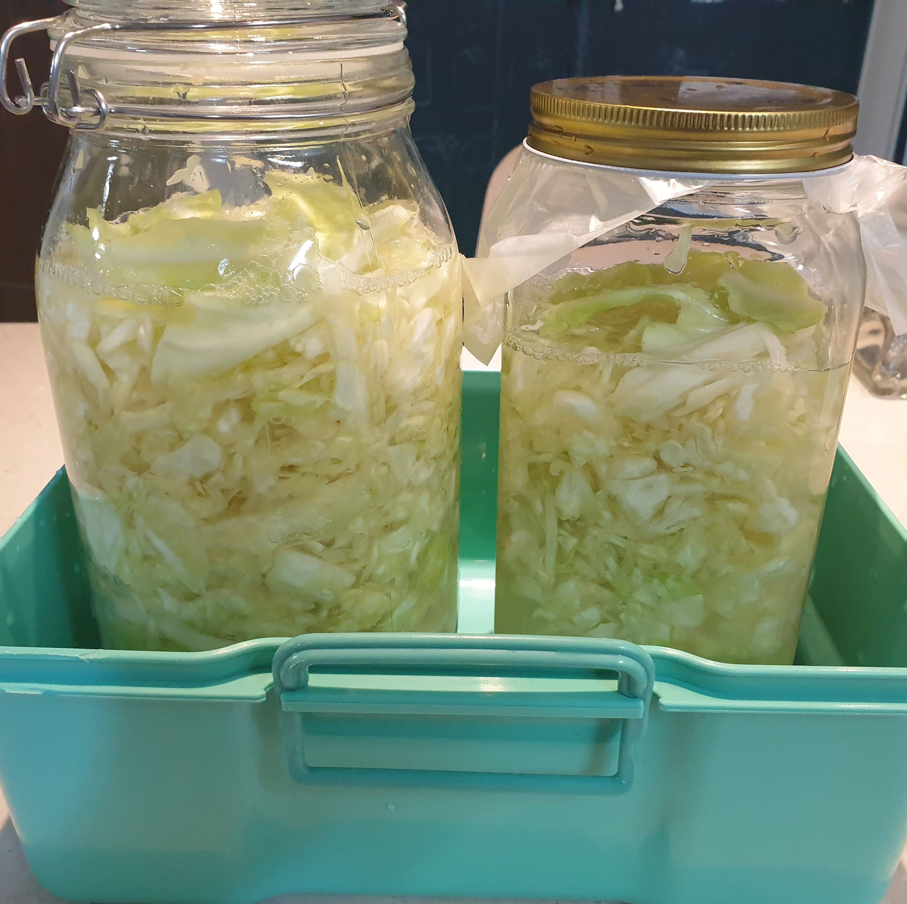 사우어크라우트 발효