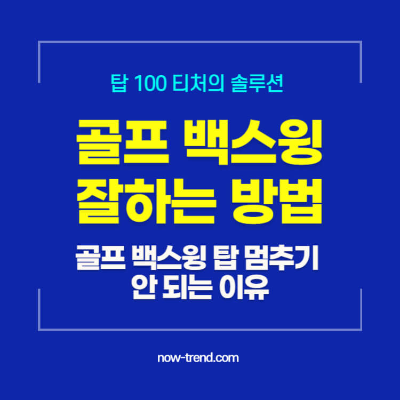 골프 백스윙 탑 멈추기 : 탑 100 티처의 골프 백스윙 잘하는 방법 섬네일