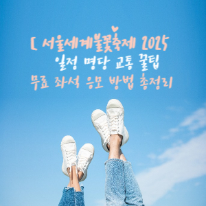 서울세계불꽃축제 2025