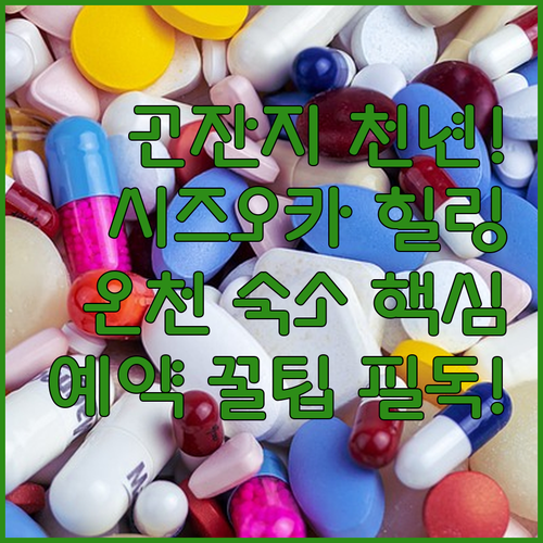 천년 고찰 곤잔지 명상 체험 시즈오카..