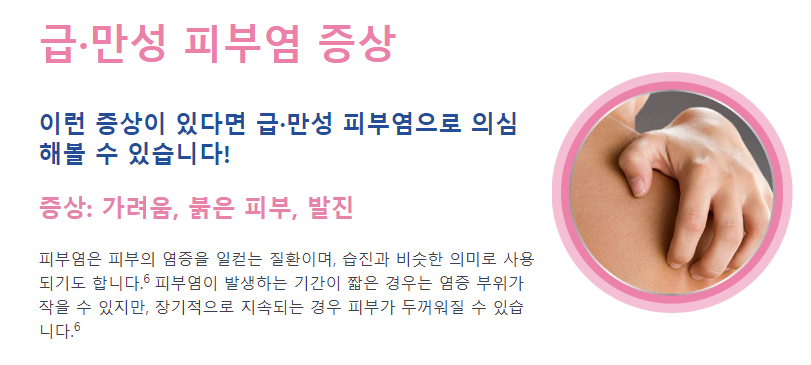 급&middot;만성 피부염 증상 안내