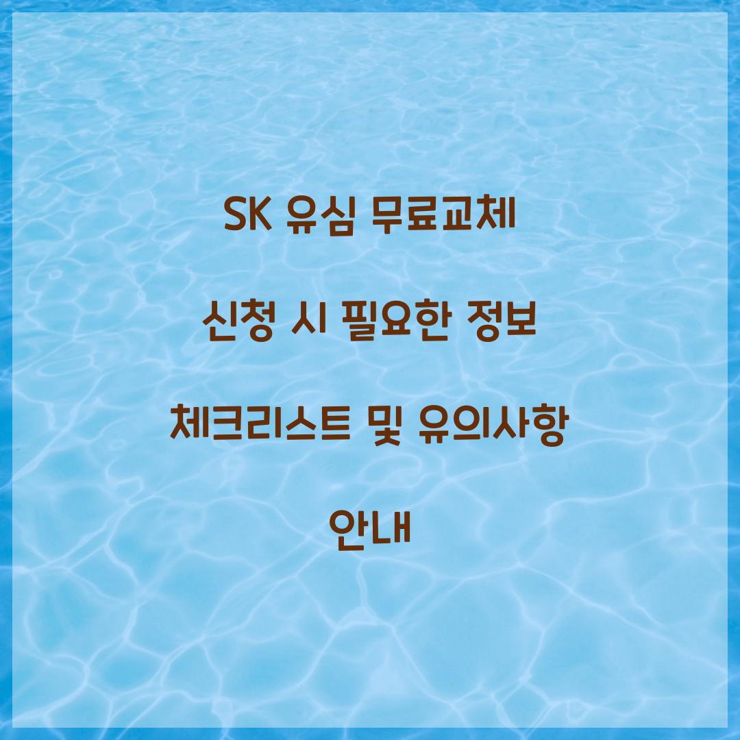 SK 유심 무료교체 신청 시 필요한 정보 체크리스트