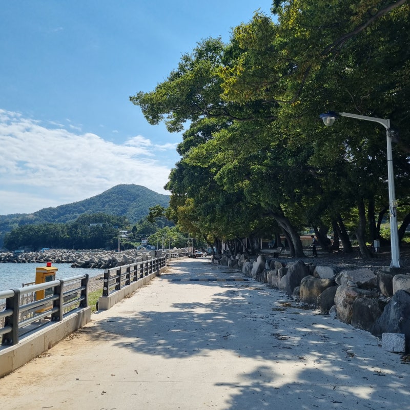 남해군 초전마을 캠핑장 소개