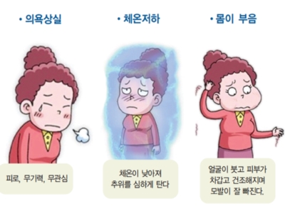 갑상선 이미지
