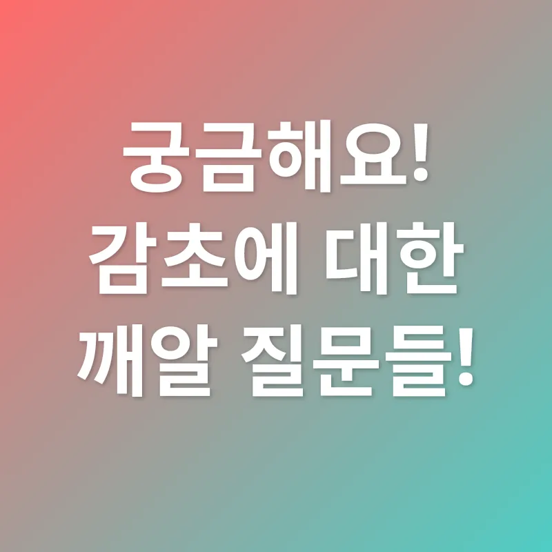 감초 효능_4