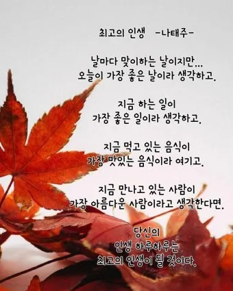 아침 인사 문자 날씨 변화에 맞춘 안부 문장 하루를 여는 표현_24