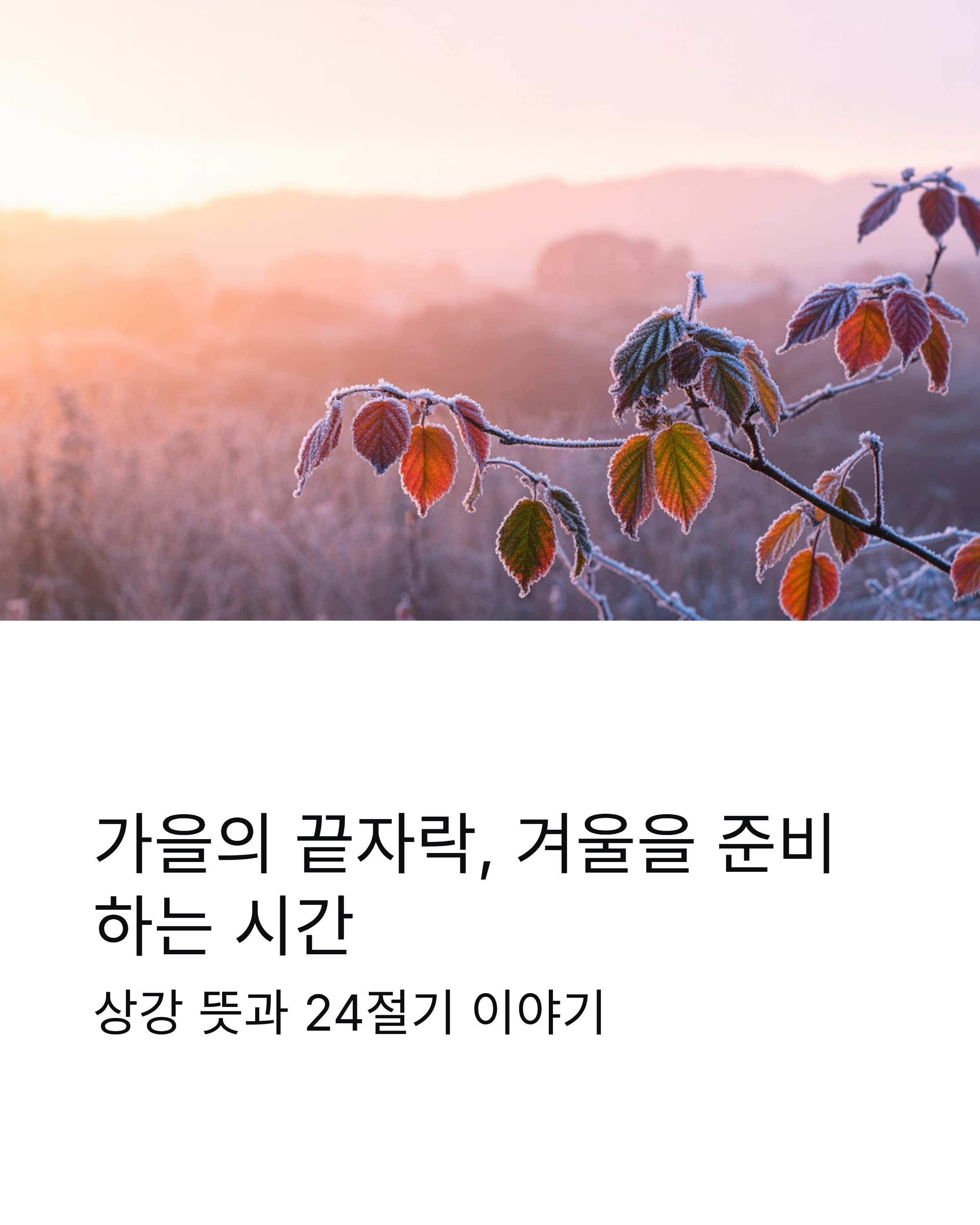 상강 뜻 완벽 정리! 날짜부터 풍습까지 24절기 가이드