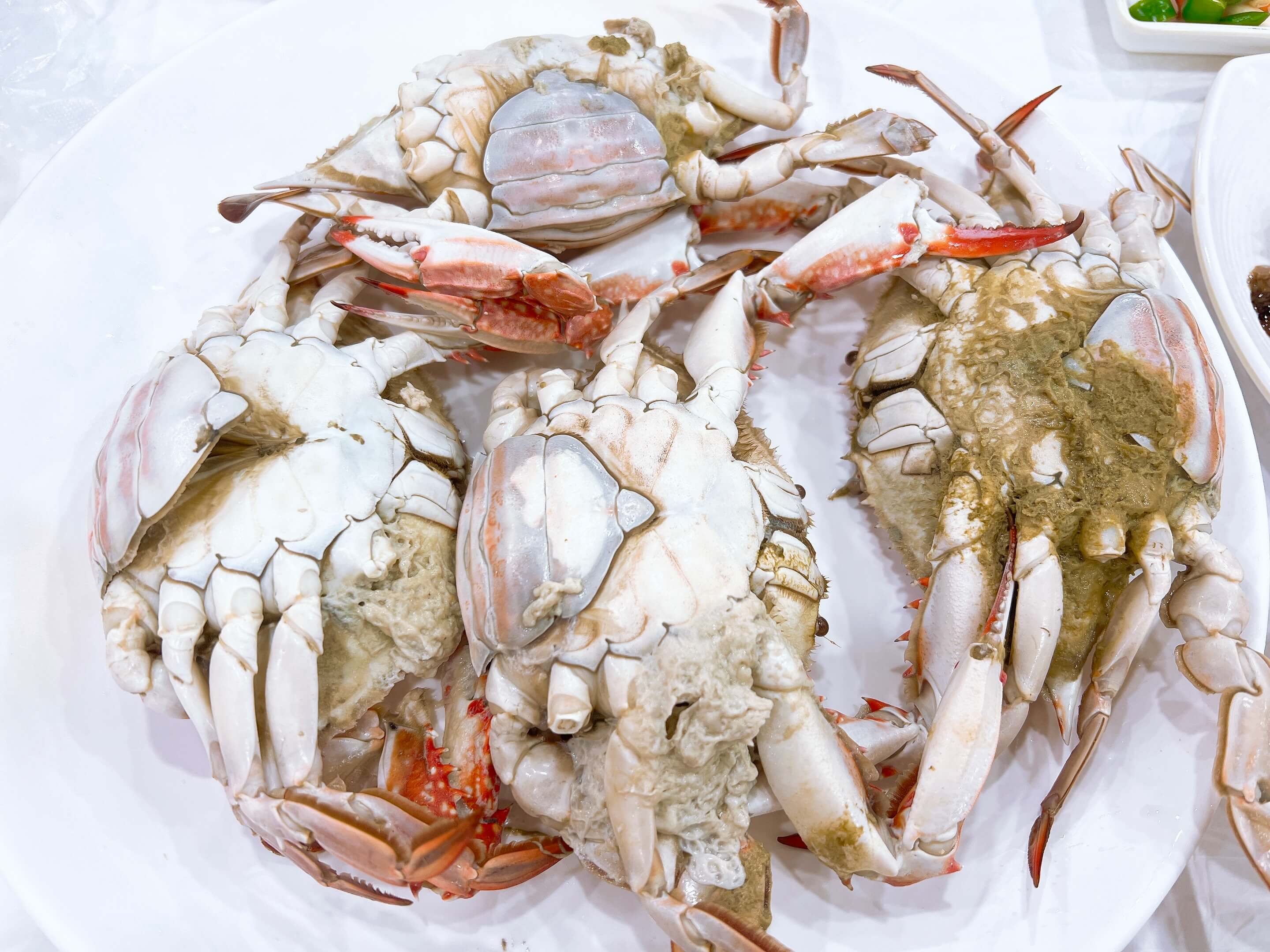 경동시장 다퍼줘 횟집 관련 사진