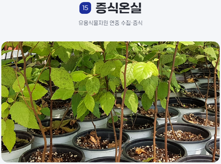 물맑음 수목원