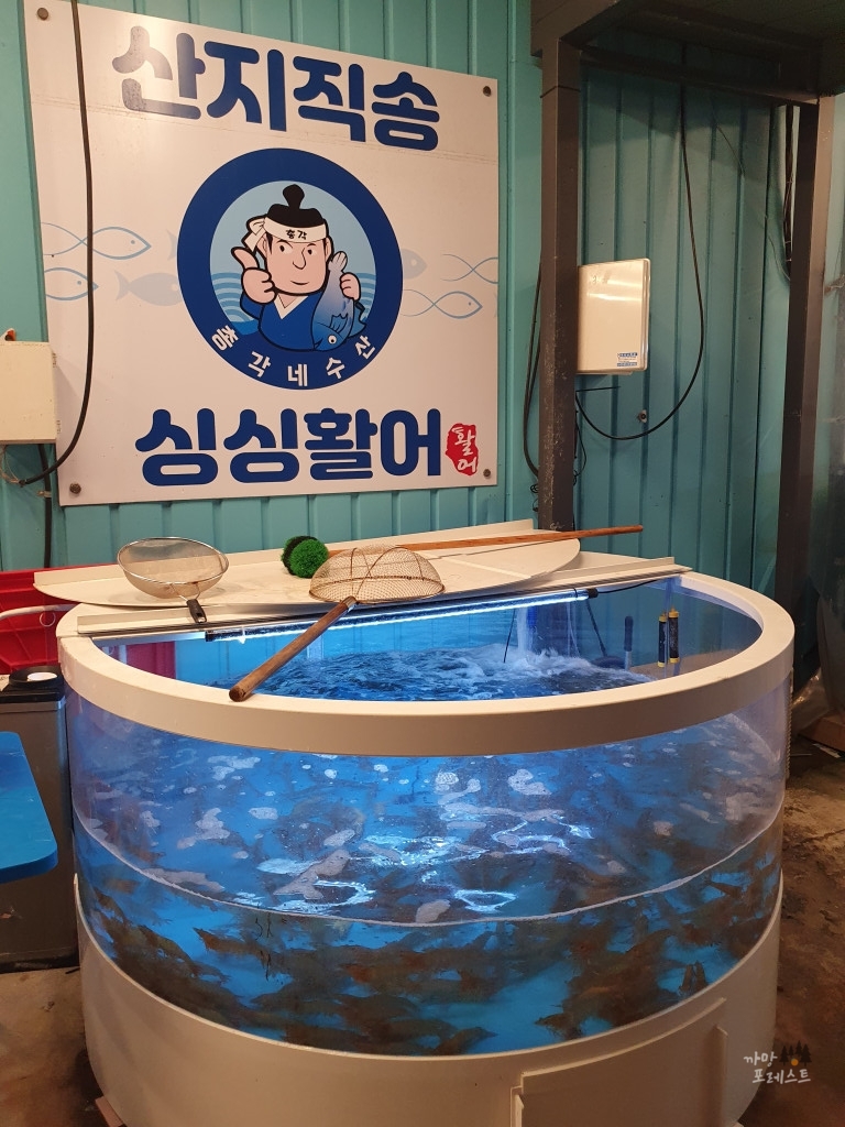 파주 총각네 수산 싱싱활어