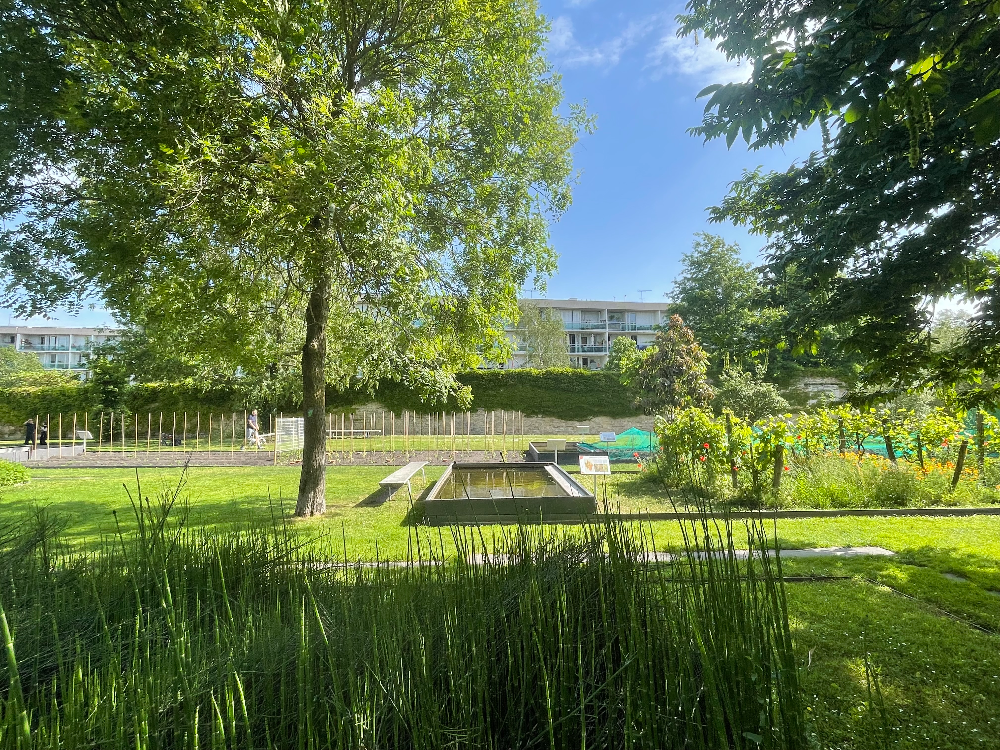 보르도 식물원 - 3. Pelouse (잔디밭)5