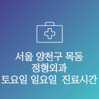서울 양천구 목동 정형외과 주말 토요일 일요일 문여는 병원 진료시간