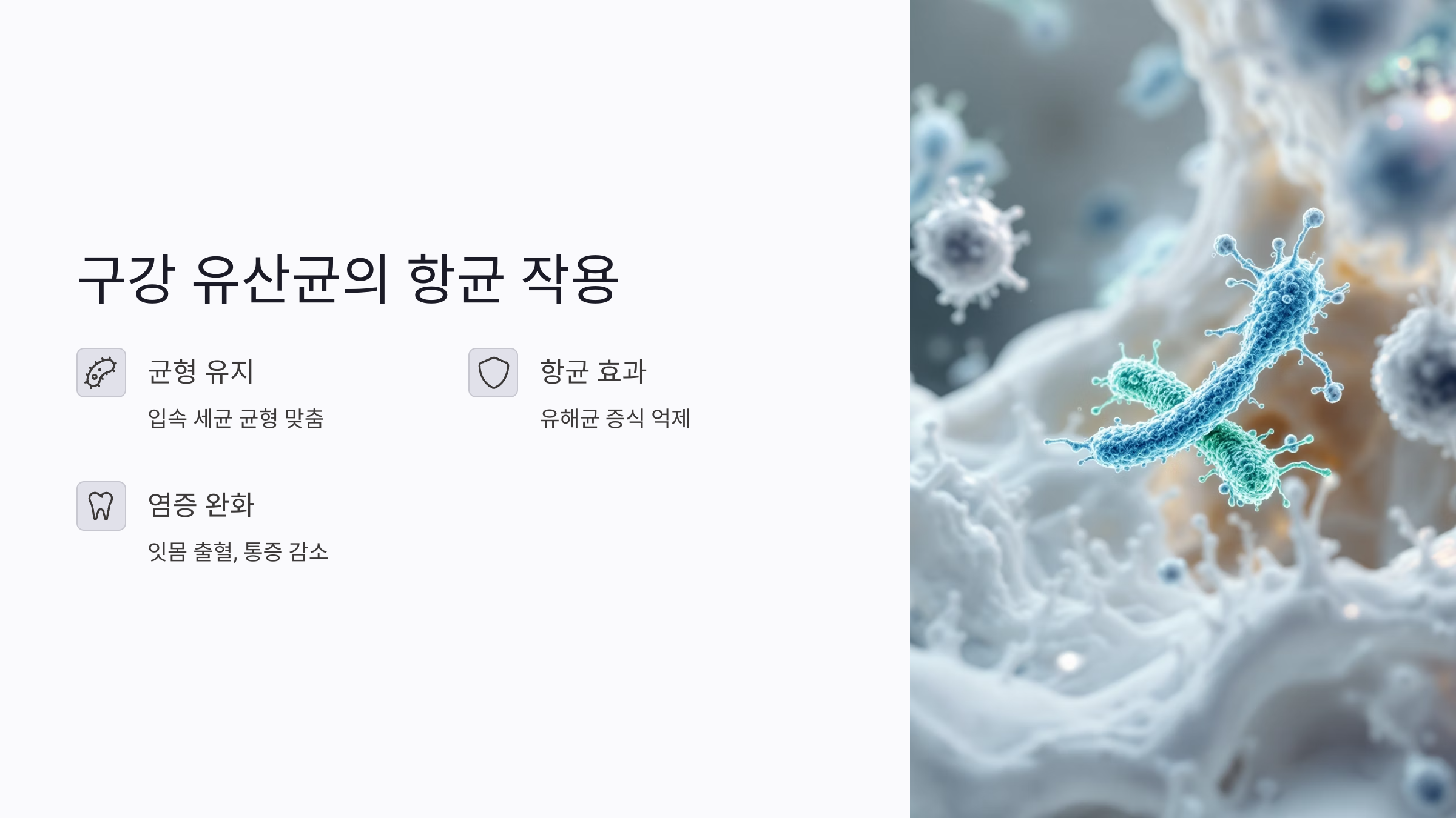 구강 유산균의 항균 작용과 잇몸염증 관리
구강 유산균은 입속 세균의 균형을 맞추고 항균 작용을 통해 염증을 완화하는 데 큰 도