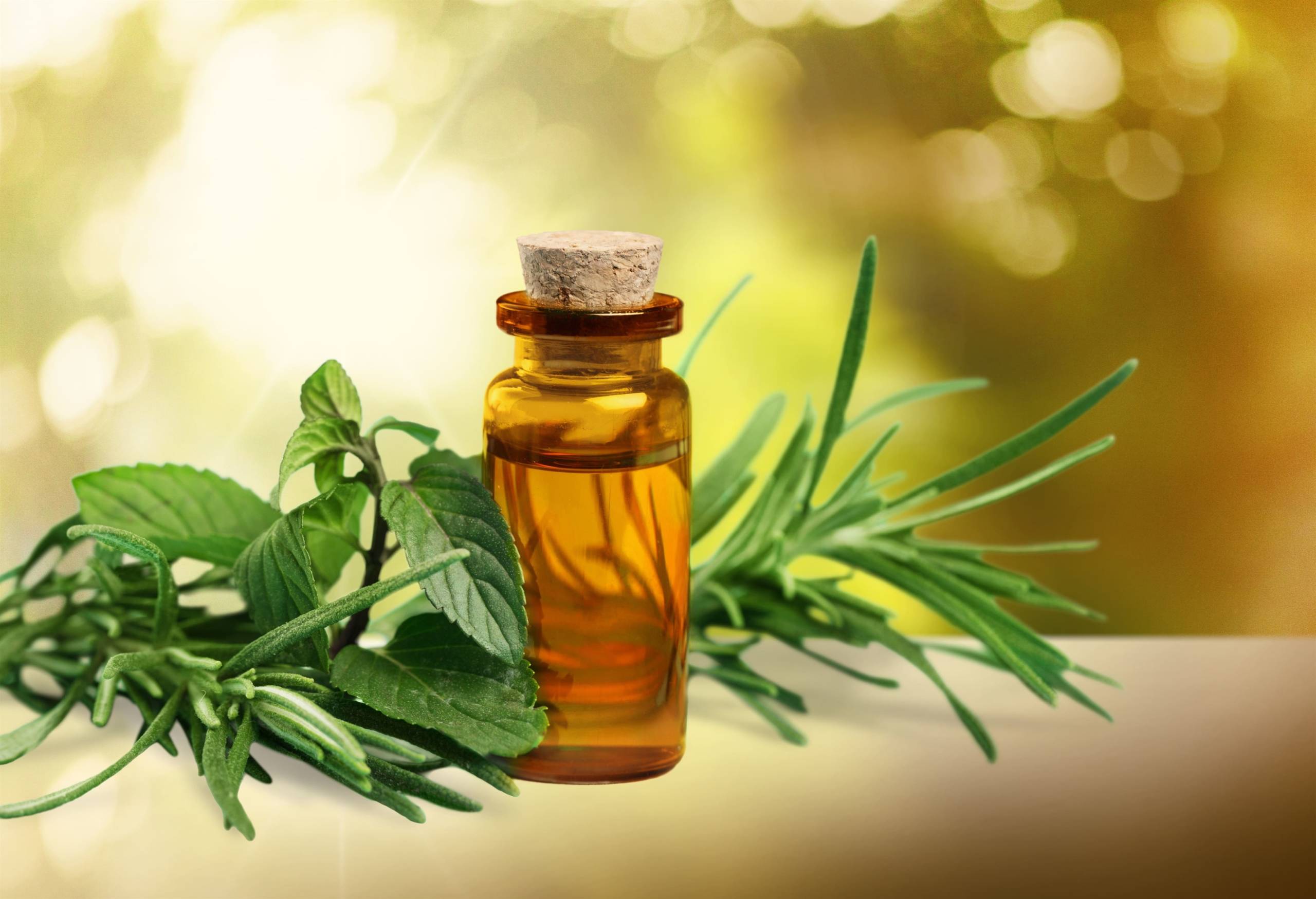 티트리오일 tea tree oil