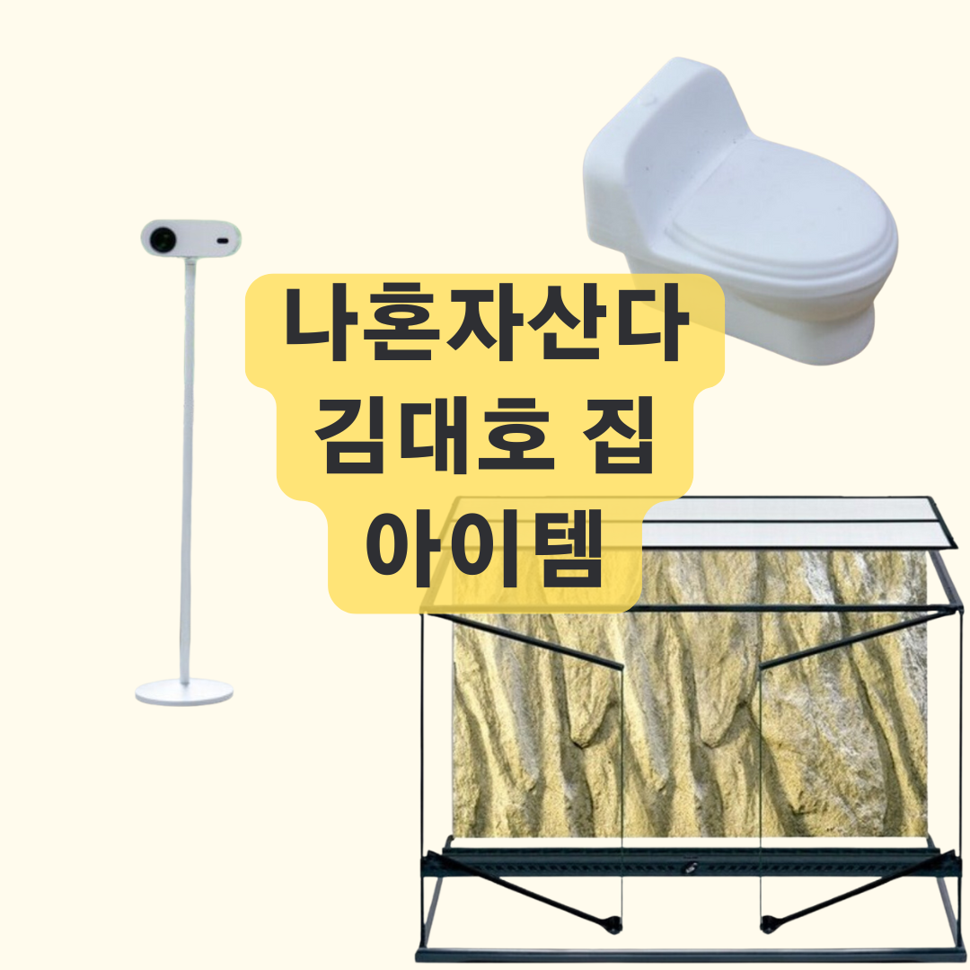 나혼자산다 김대호 홈시어터 비바리움 문고리 소품 정보