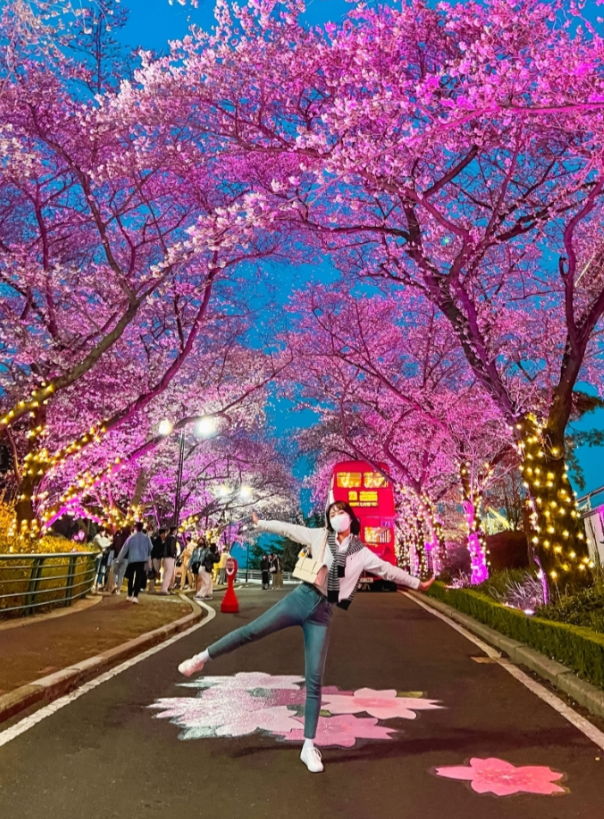 대구 이월드 블라썸 피크닉 벚꽃 축제