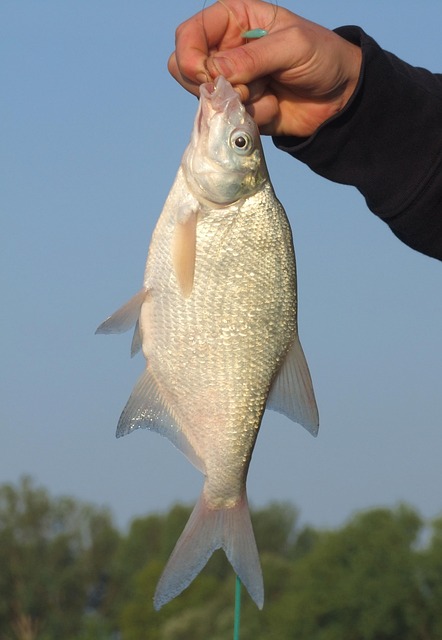 수능 후 취미생활 추천! 스트레스 해소 힐링 클래스 지금 신청하세요
