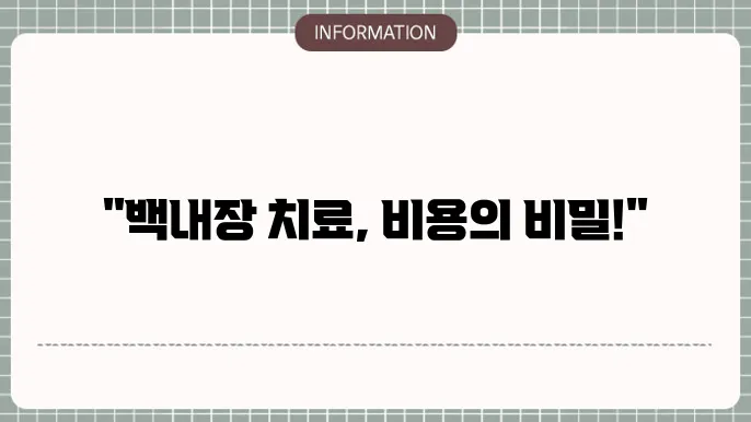 백내장 렌즈삽입술 비용: