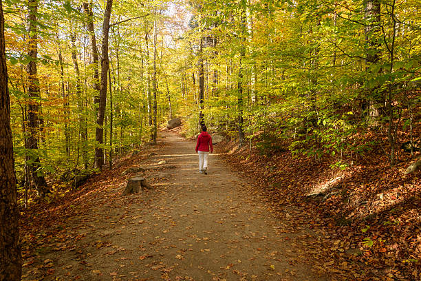 잡생각 멈추는 법: 오만가지 생각에서 벗어나 나에게 집중하는 5가지 방법